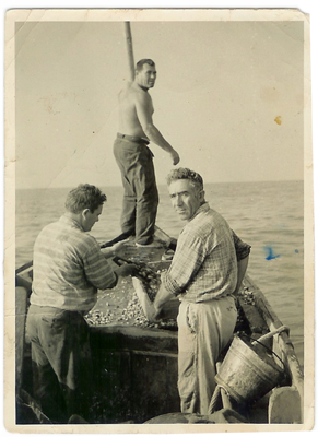 Foto storica CoGeVo Venezia, la raccolta delle vongole